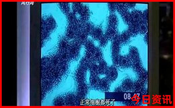 草原自驾游最佳路线推荐