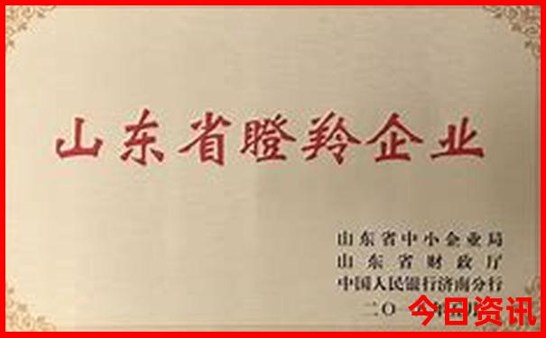 夏季适合去旅游的城市